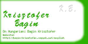 krisztofer bagin business card